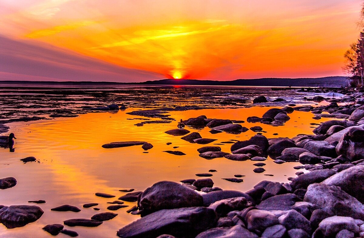 (Фото: Михаил Осипов) 