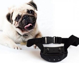 Электроошейники – устройство, особенности применения