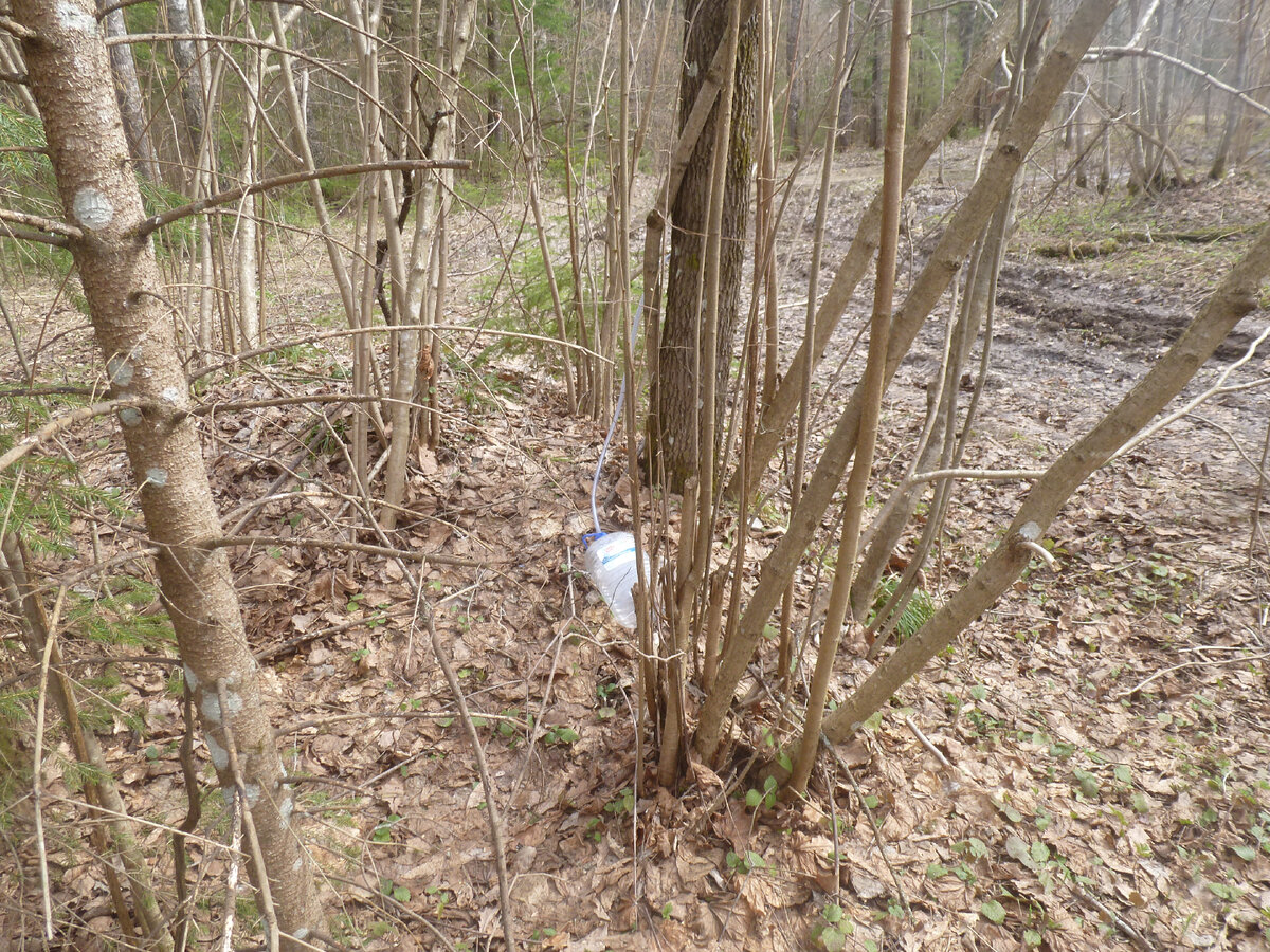 Бутылей было несколько.