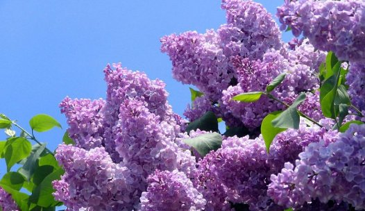 фото из интернета