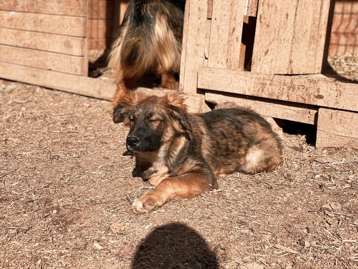 Мишка превратилась в настоящую красавицу, особенную.