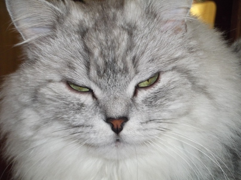 Как всегда уже хочу поспать...