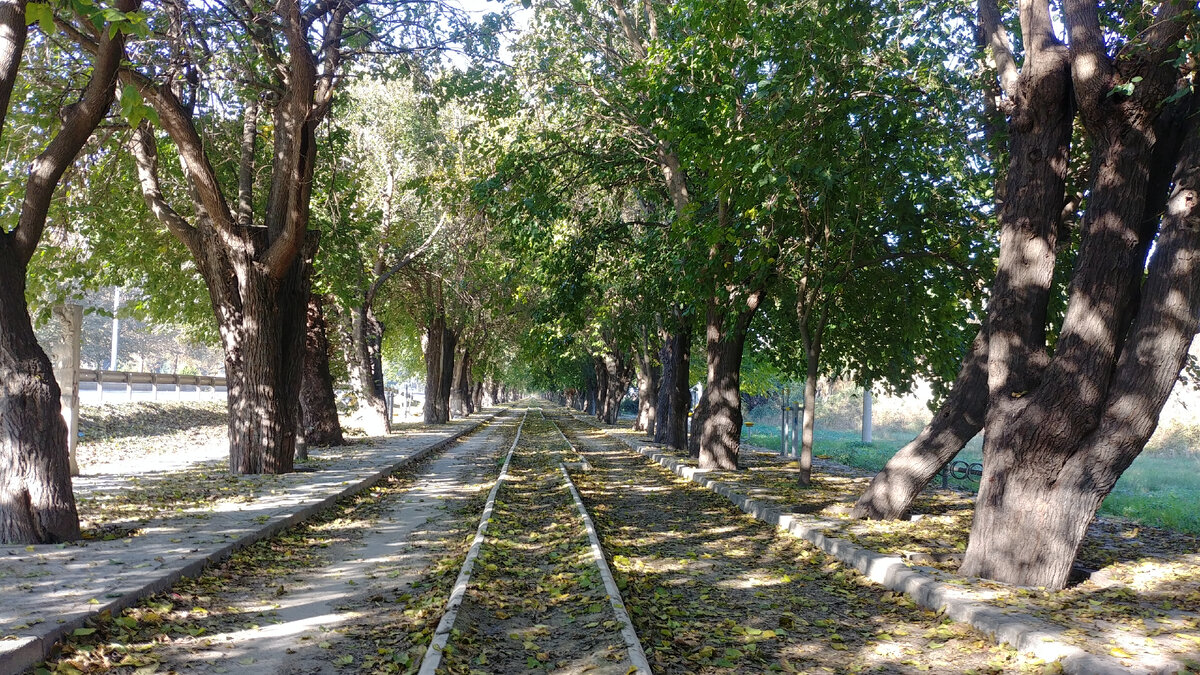 Бульвар Сабри Яйла