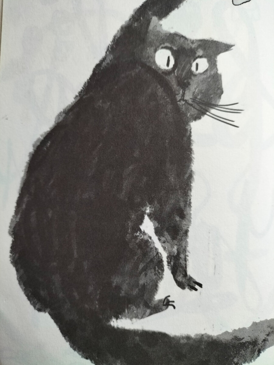 Фото автора иллюстрация из книги про кота убийцу