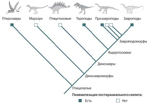 Отряды динозавров схема