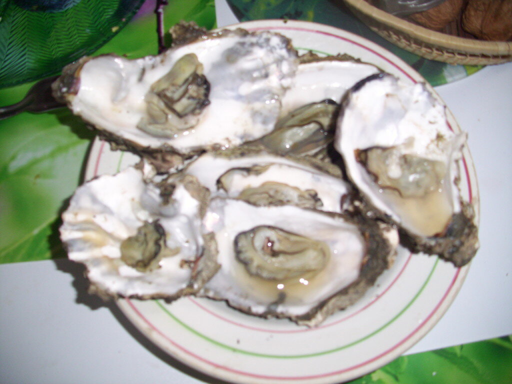 как решить задачу две одинаковые гигантские устрицы. две одинаковые гигантские устрицы добывая себе. две одинаковые гигантские устрицы добывая. две одинаковые гигантские устрицы добывая себе. устрицы фото.