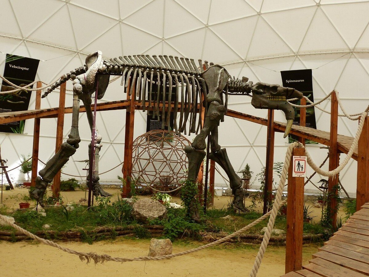 Источник фото- сайт https://clck.ru/XhGQX