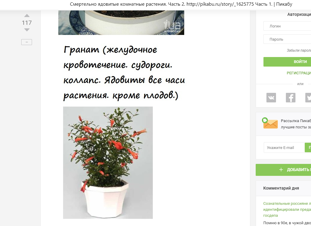 Зачем люди это делают?