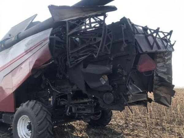 Источник фото: big-rostov.ru