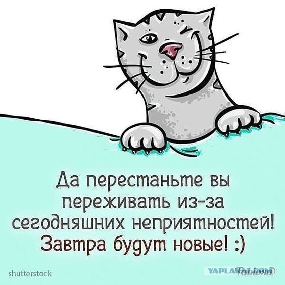 Источник https://i.pinimg.com/564x/56/59/72/565972a829c2f992c8bbcdbabface534.jpg