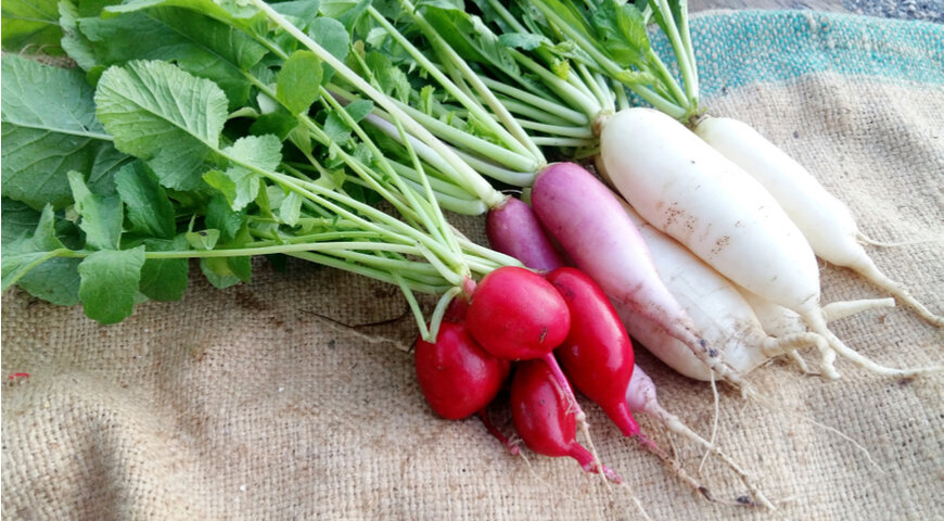 Какие продукты вызывают неприятный запах пота?