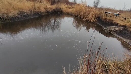 Пруд на даче своими руками (59 фото): выбор стиля водоема. Подбор места, размера и материала