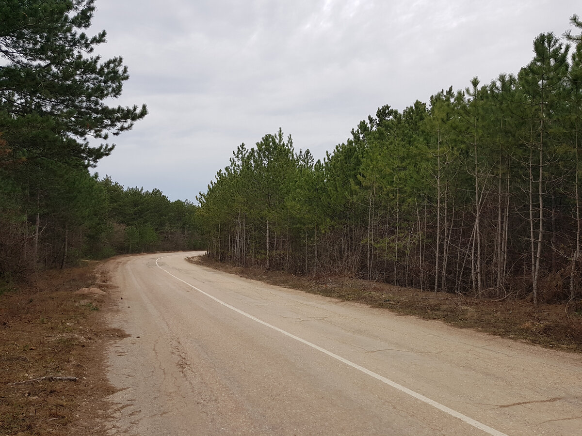 По дороге через лес.