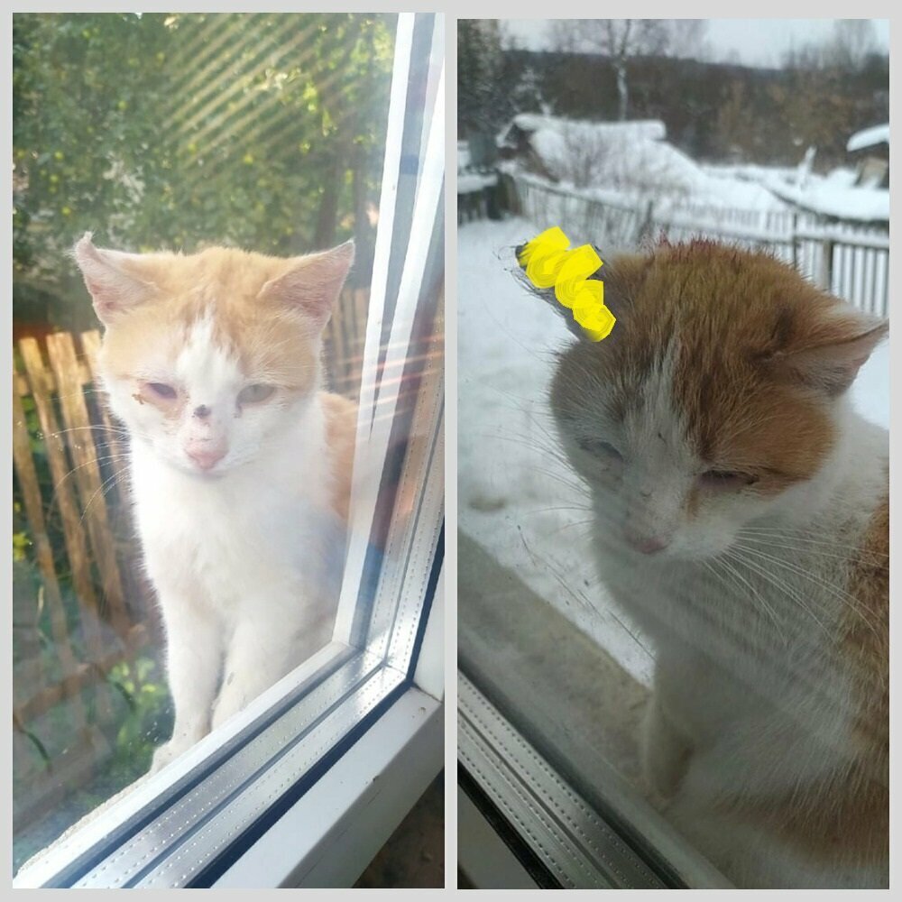 Вот так они ходили по домам, иногда втроем