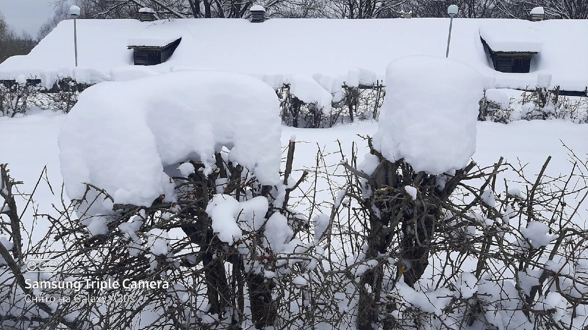 Фото автора.Снег лежит столбиками.