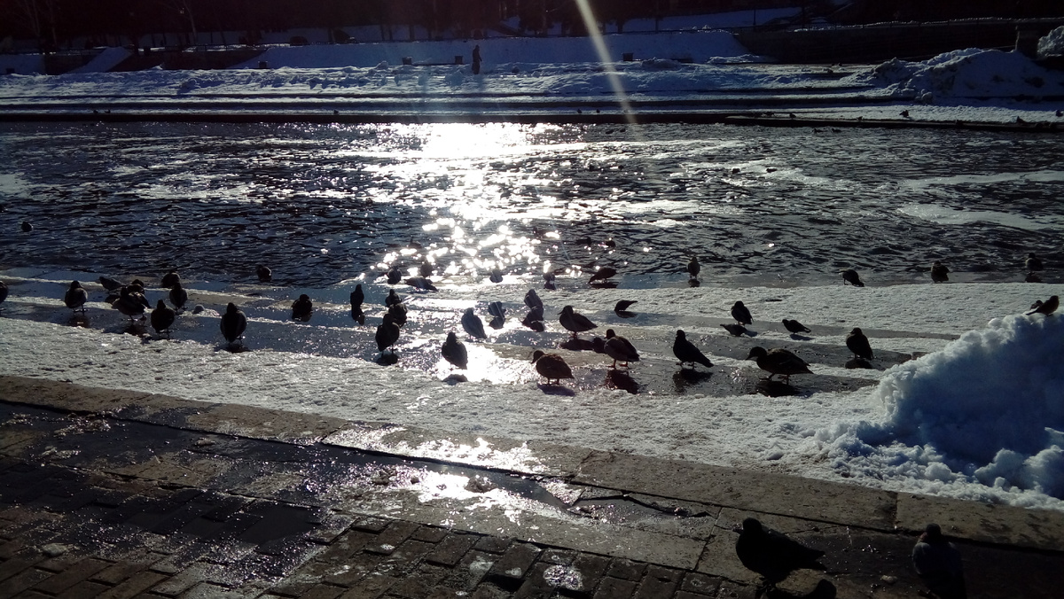 Екатеринбург, Плотинка, весна. Фото из личного архива