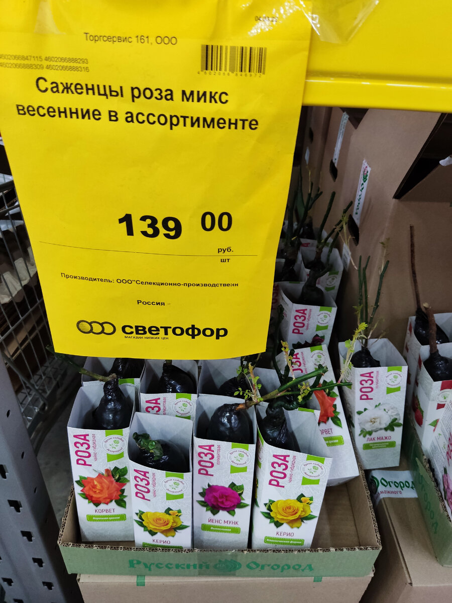 Фото дневник мамы