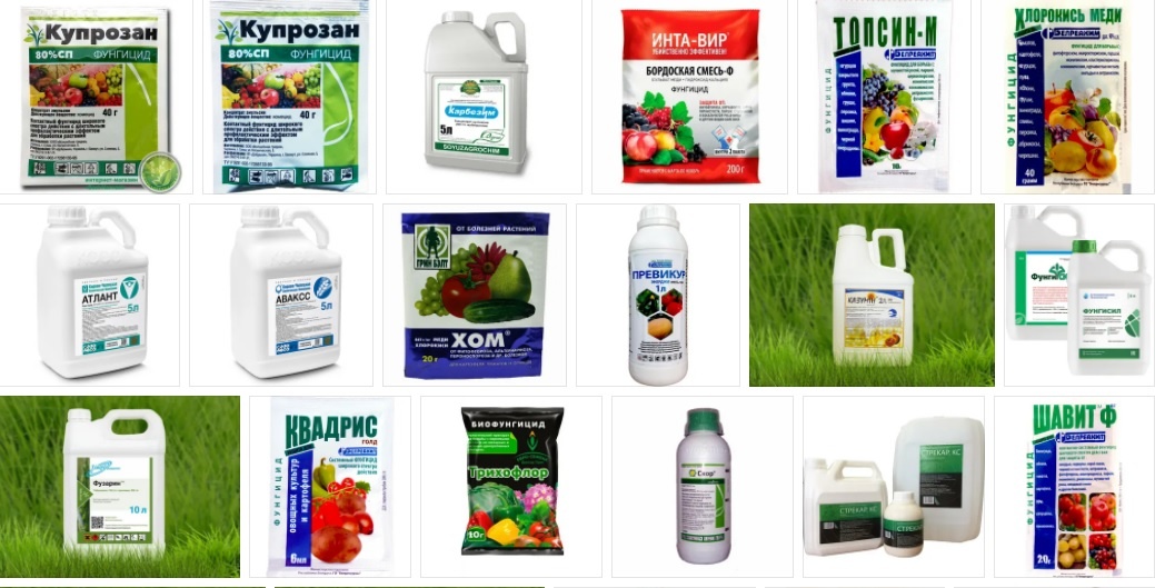 вот такая разновидность продается в магазинах (Это не реклама, это пример )