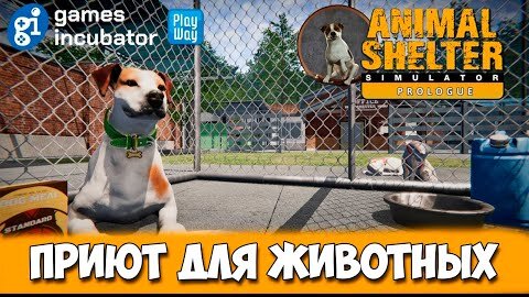 Новая игра - Приют для животных - Animal Shelter (первый взгляд)