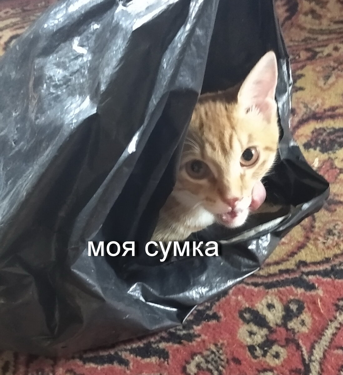 Личное фото