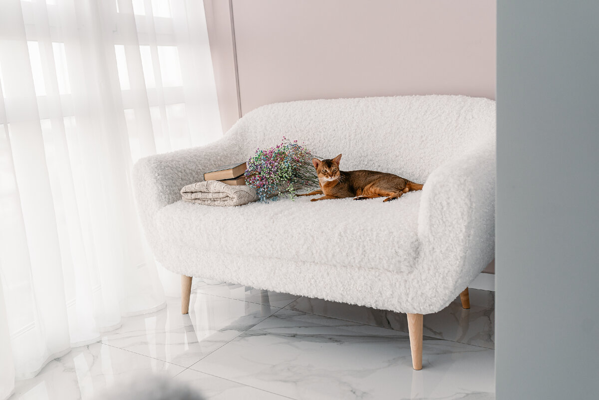 Фото: @countess1990