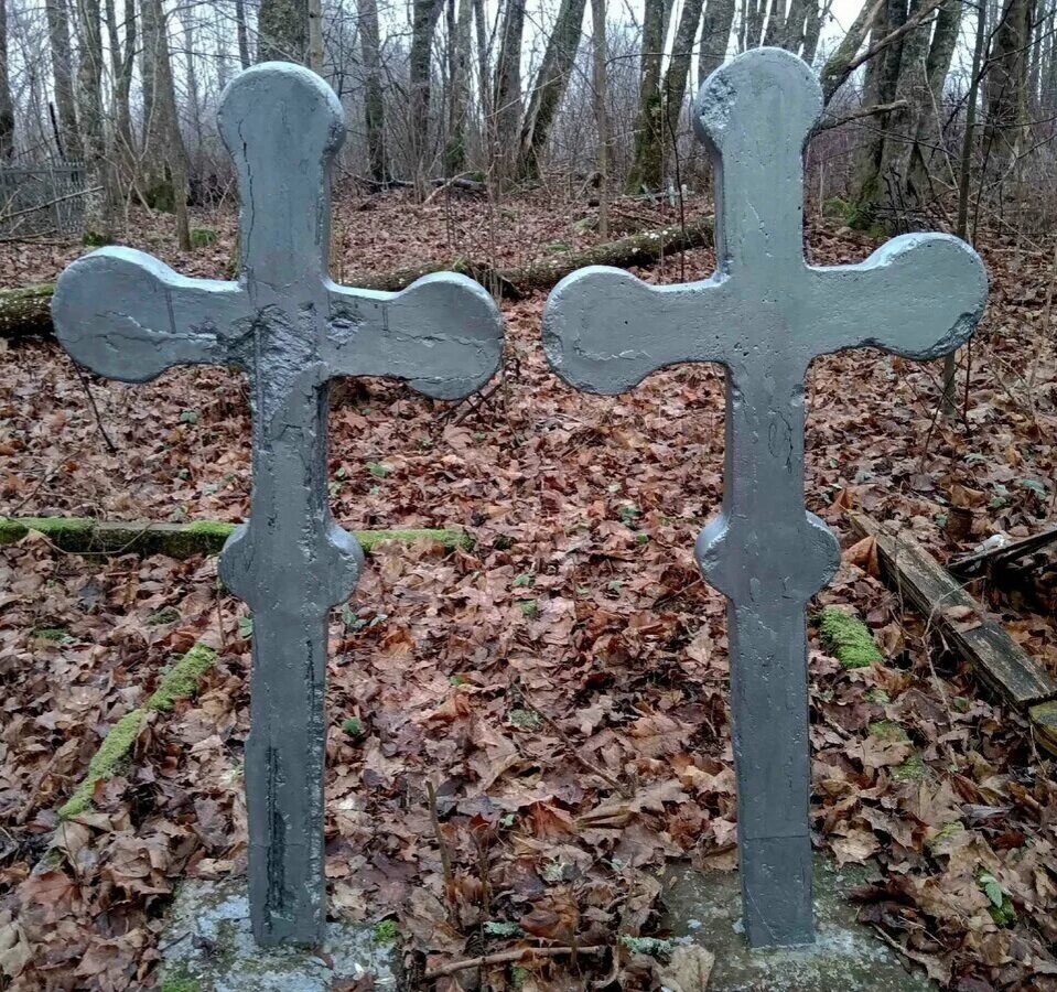 Фото из интернета