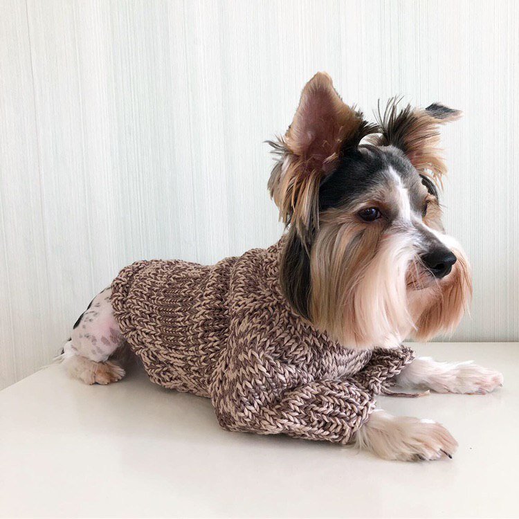 Свитер для собак крупных пород / Вязаный свитер для собак / Как связать свитер для собак / Вязание