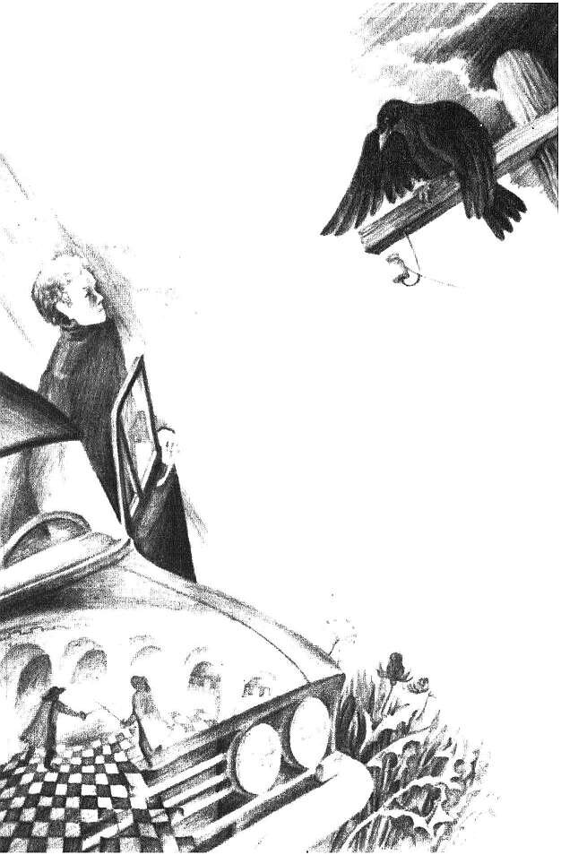 Вася и Ворон. Иллюстрация В.Тё. Фото взято из открытого источника в сети Интернет.