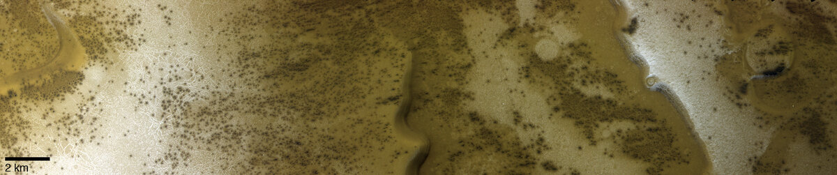 Данное изображение было получено ранним утром в разгар марсианского лета в южном полушарии планеты. В этих высоких широтах распространены сухой лед и иней. Иней виден в полигональных трещинах на поверхности планеты, указывая на наличие водяного льда в грунте. Черные пятна на поверхности — это следы темного грунта, который проступает через трещины в толще сухого льда по мере его сублимации в летние месяцы, то есть, перехода из твердого состояния сразу в газообразное, минуя жидкое.