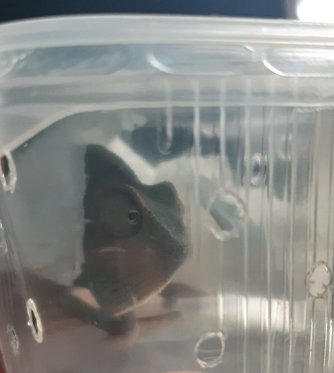 Доставка в самой маленькой таре для салата