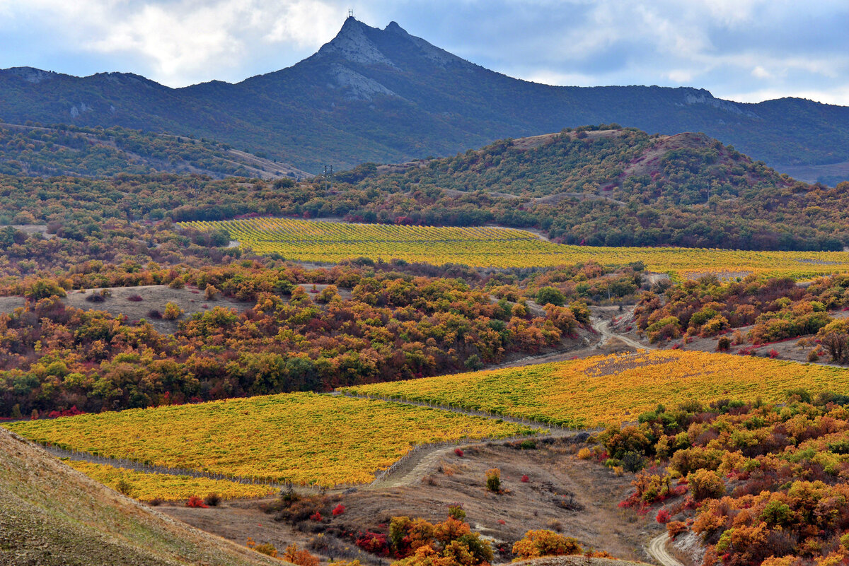 Осень в Крыму дзен
