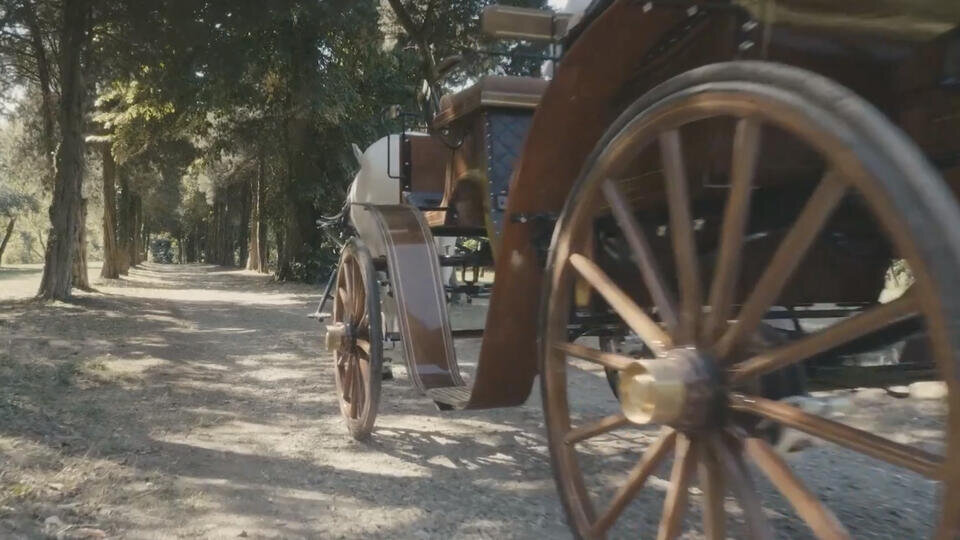    скриншот видео