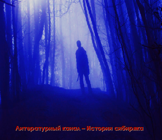 Столкновение с неизвестным. Страшная встреча в ночном лесу. Автор Павлов-Сибиряк
