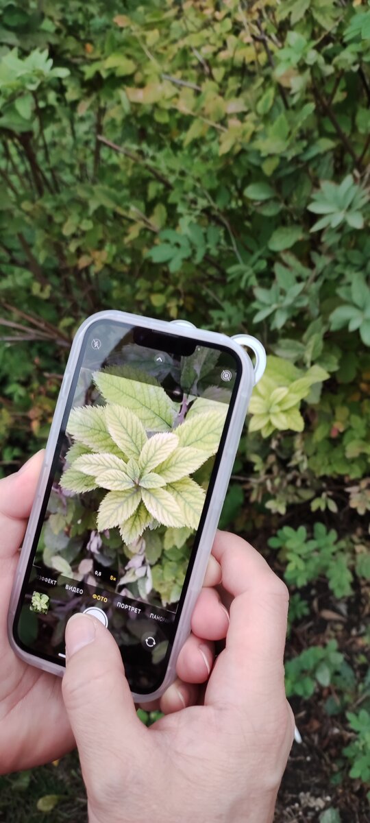 Мама фотографирует вместе со мной) 
