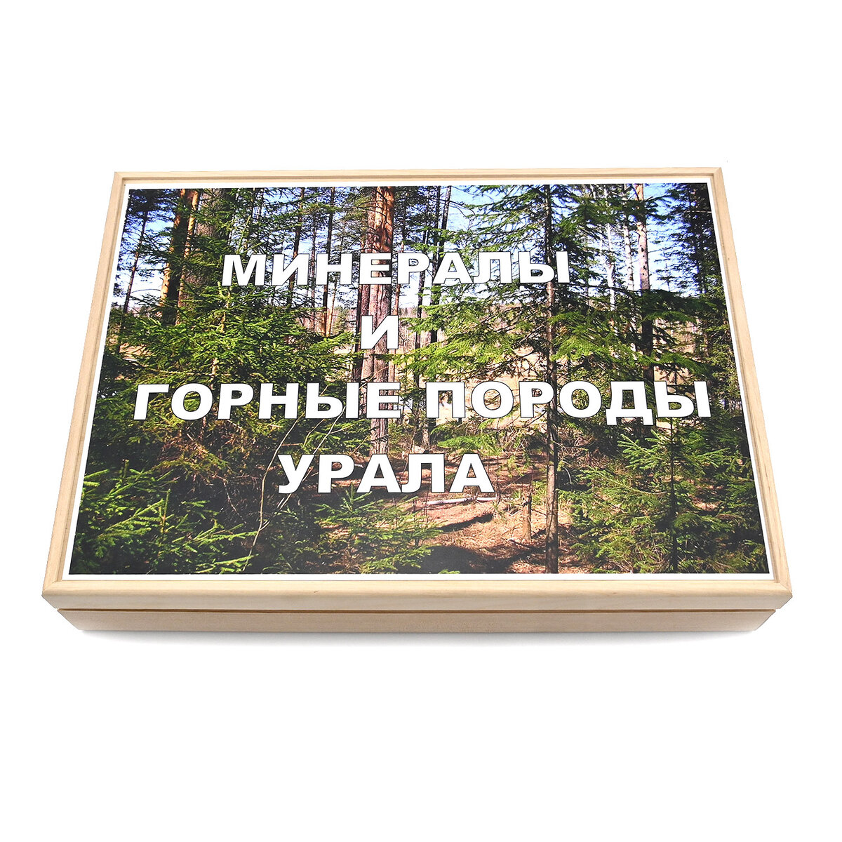 А внутри - 30 ячеек с различными минералами