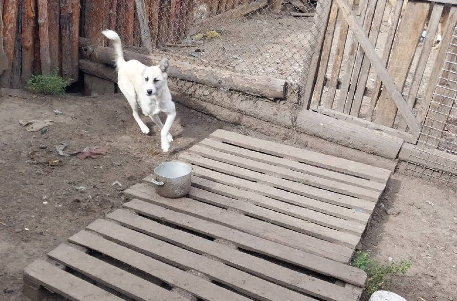 Катя