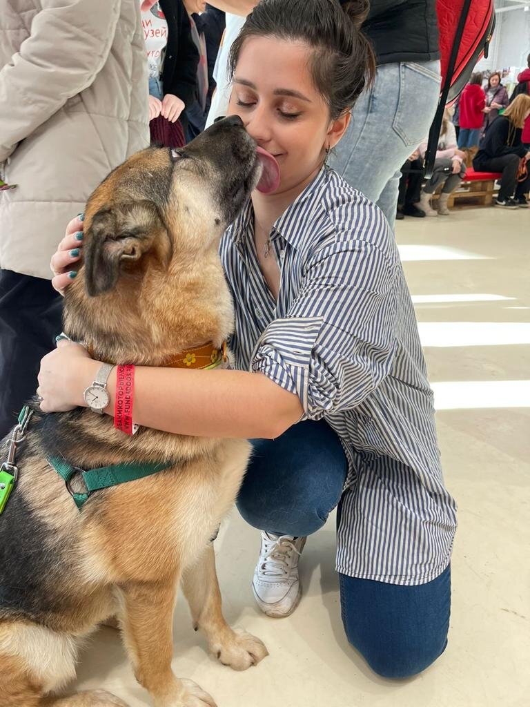 Собака, которая обожает Человека!