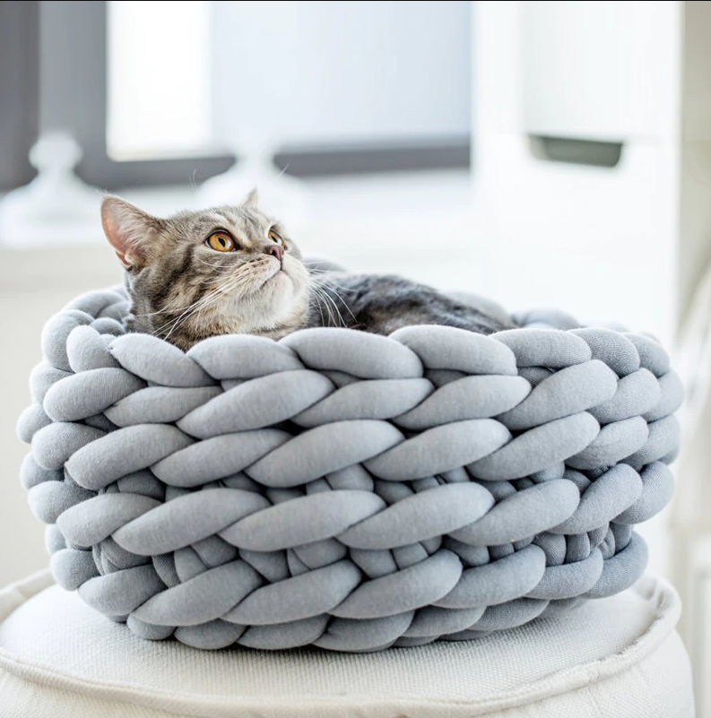 Фото из открытого источника