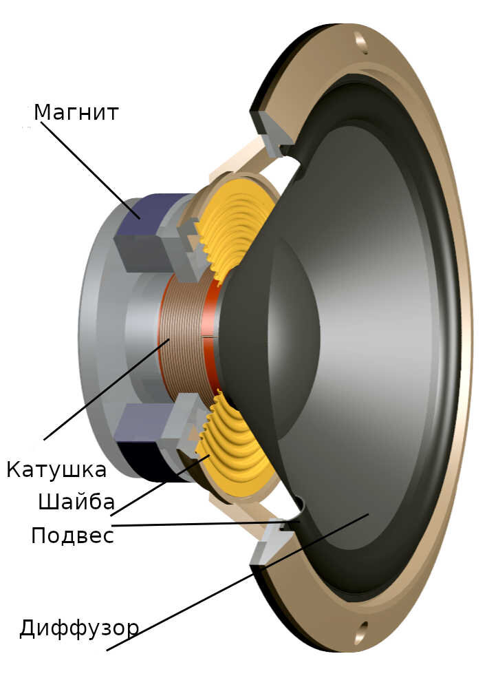 Динамик физика. Из чего состоит НЧ динамик. Электродинамические излучатели звука. Электродинамический громкоговоритель. Устройство громкоговорителя.