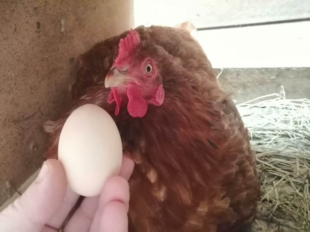 Фото из интернета