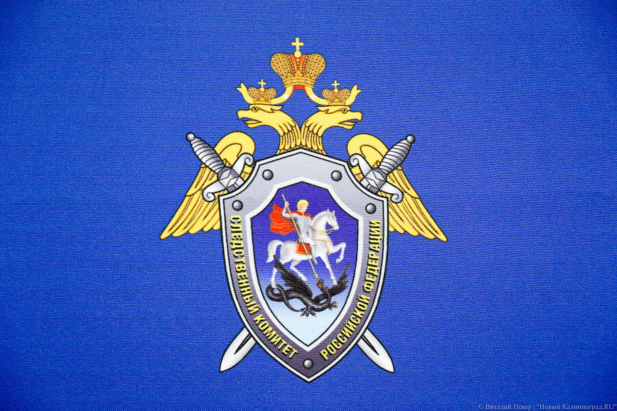 Фото: Виталий Невар / Новый Калининград