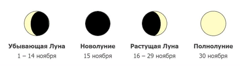 31 августа фаза луны. Фазы Луны. Новолуние полнолуние и убывающая. Клев рыбы по фазам Луны.