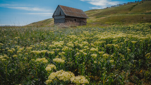 Село Белогорское. Богом забытое место на берегу Волги