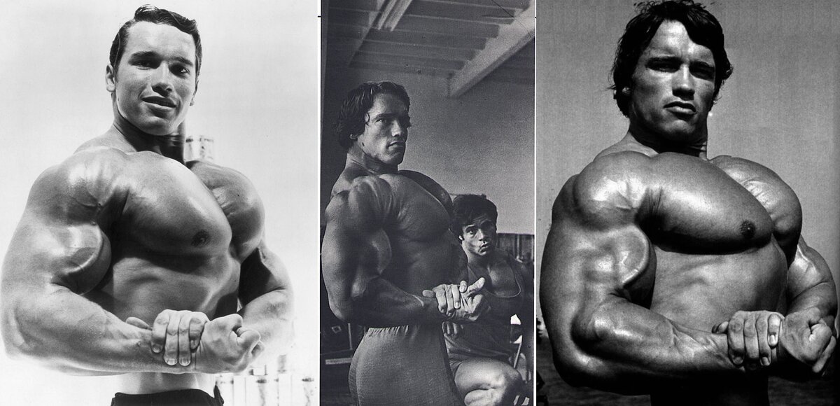 Можно сказать, что у него была грудь как у Арнольда Шварценеггера, когда тот был на самом пике формы.