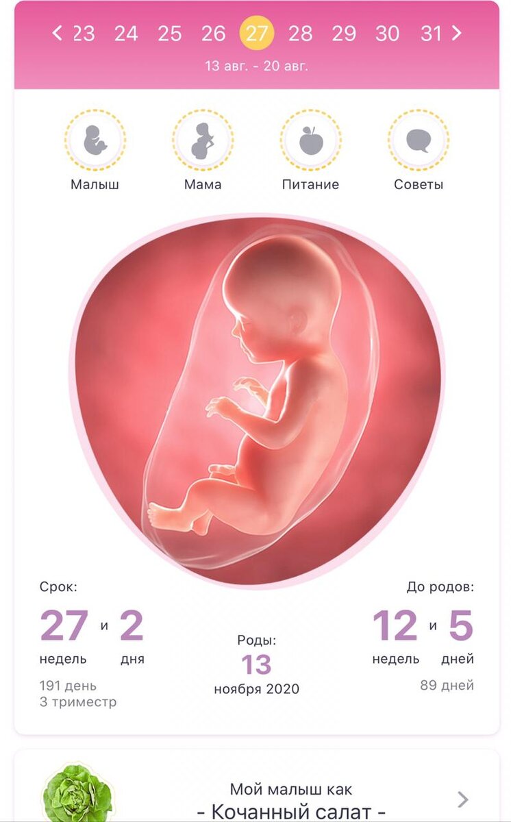 6 месяцев беременность вес. Размер плода на 27 неделе беременности. Ребенок 27 недель недели беременности. Размер ребёнка на 28 неделе беременности. Плод 28 недель беременности вес и рост.
