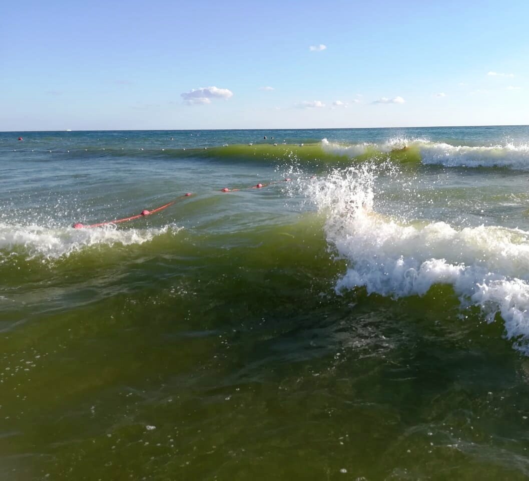 Анапа какое море