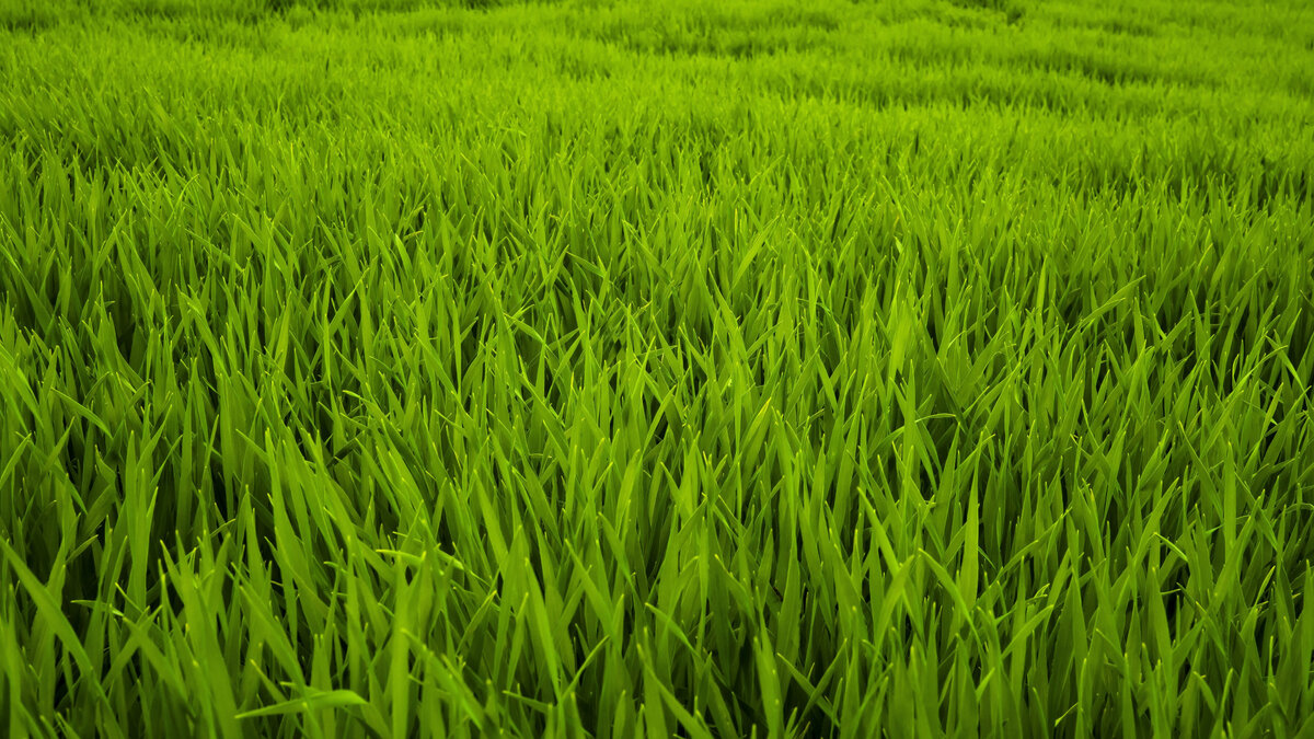 Источник: Яндекс.Картинки