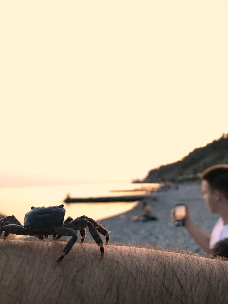 Счастье рядом, в людях и мелочах
