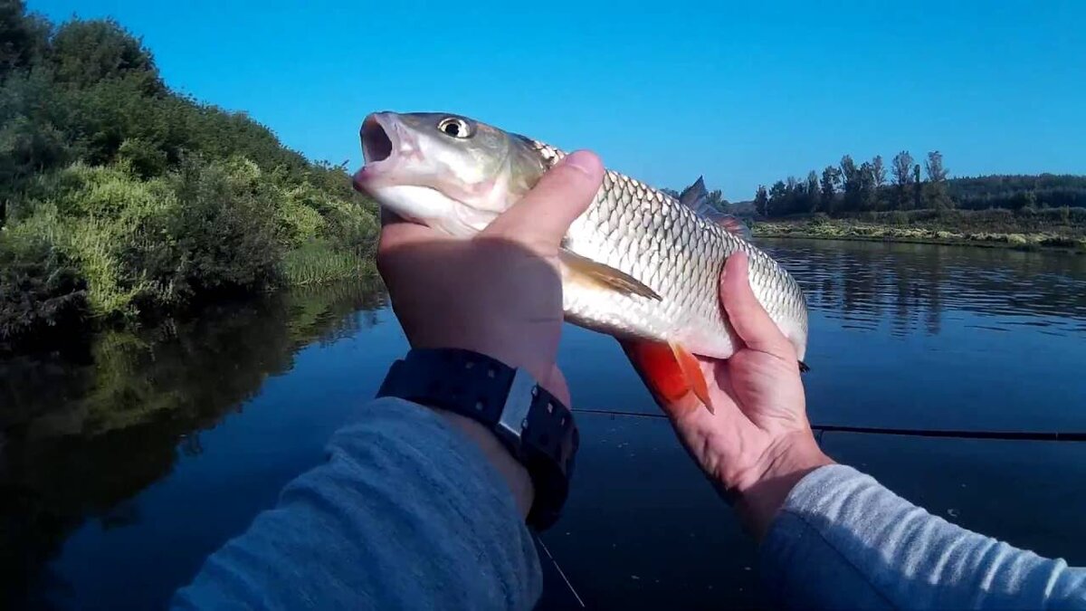  Фото: скриншот с YouTube