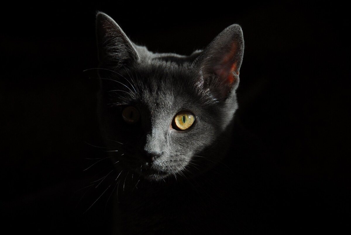 Источник фото: pixabay.com